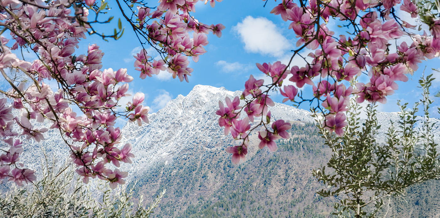 suedtirol stimmungsvoll Kalterer See Fotografie Sonja Filitz